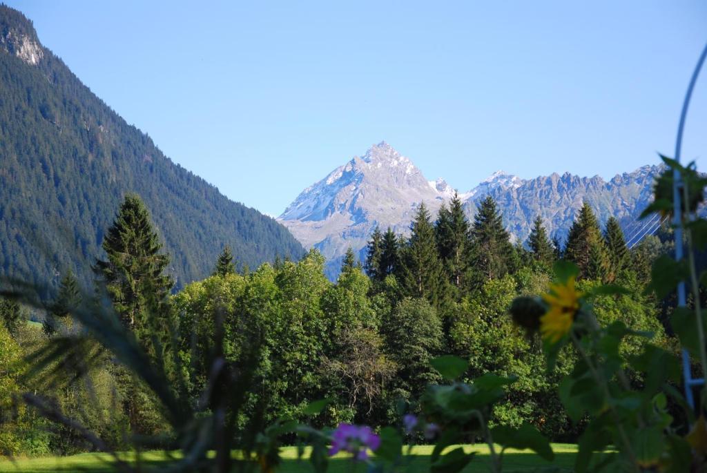 Alpenpension Maderer Гашум Экстерьер фото