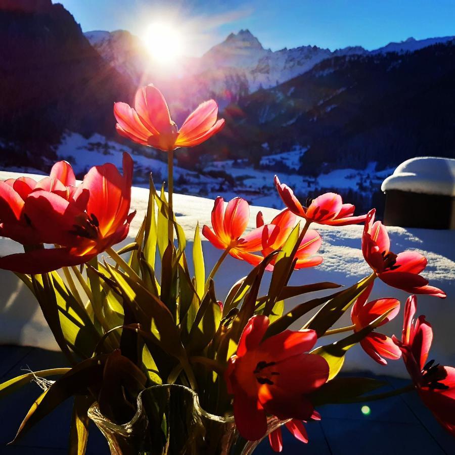 Alpenpension Maderer Гашум Экстерьер фото