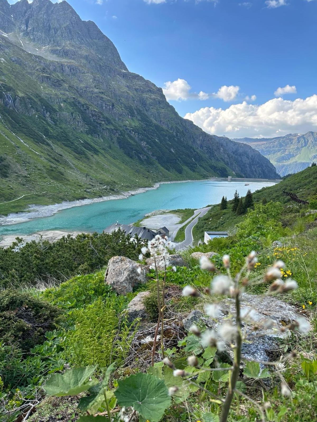 Alpenpension Maderer Гашум Экстерьер фото